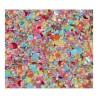 Superstar Cosmetische Glitter | Chunky Glitter Cream |  Colour Splash 10ml