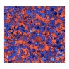 Superstar Cosmetische Glitter | Chunky Glitter Cream | Orange Blue Lampegat 10ml